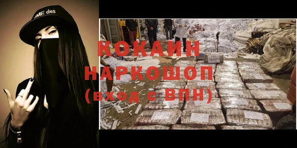 амф Горняк