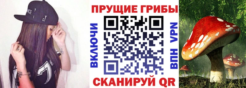 Псилоцибиновые грибы ЛСД Шиханы